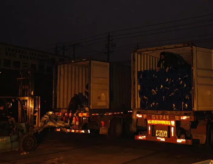 非洲，還是非洲